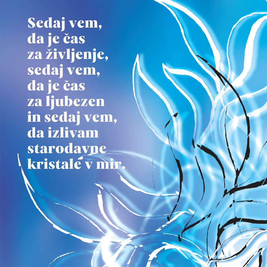 V objemu diha poezije - No.13