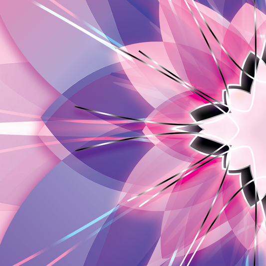 Razcvet zvezdnega dotika - violet