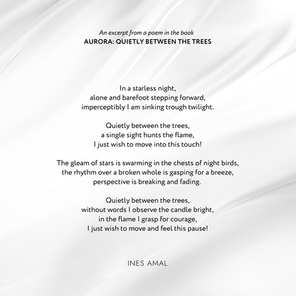Aurora / English edition of poetry 