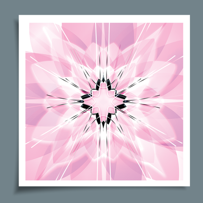 Bloom of a star touch - pink